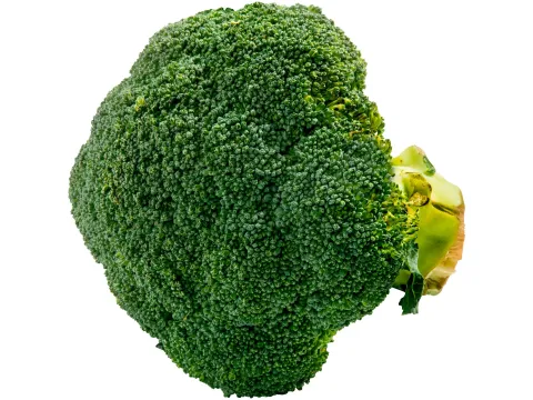Broccoli